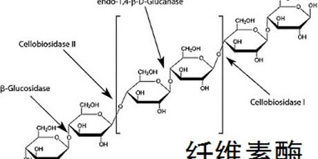 src=http___img.cn.cphi.cn_img_Cphi_cn_news_2019_05_Mimg_1905080505420519.jpg&refer=http___img.cn.cphi